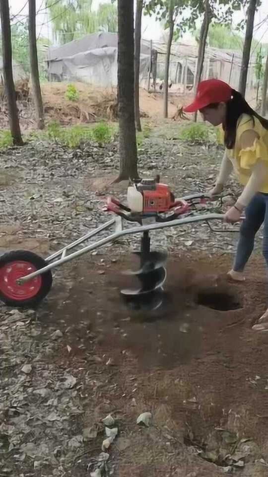 Thumbplayer Poster Plugin Image