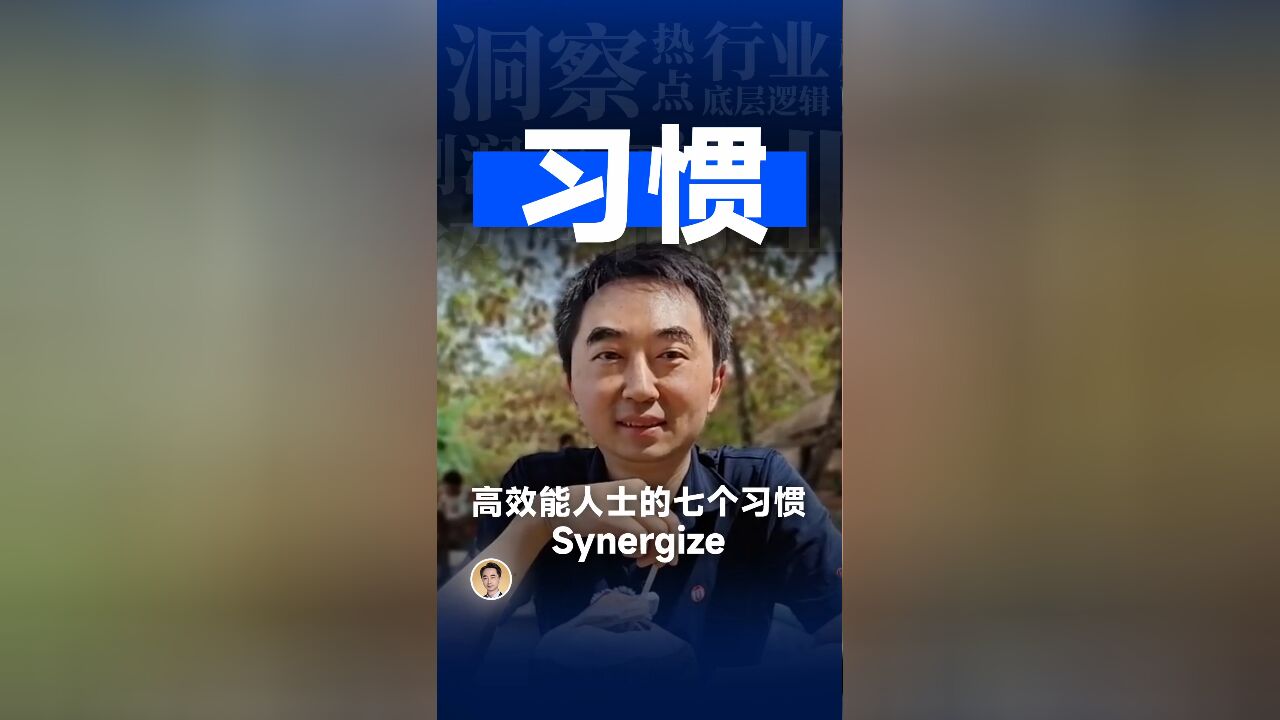 高效能人士的第6个习惯:统合综效