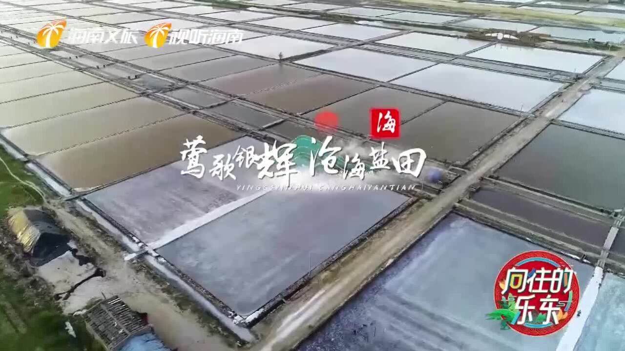 海南版天空之境—乐东ⷨŽ𚦭Œ海盐场