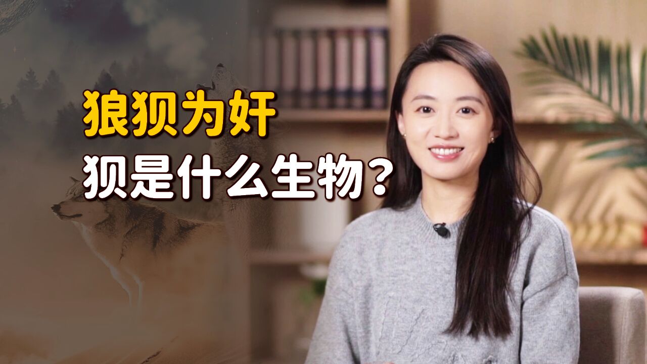 “狼狈为奸”中的“狈”,是什么生物?是真实存在的吗