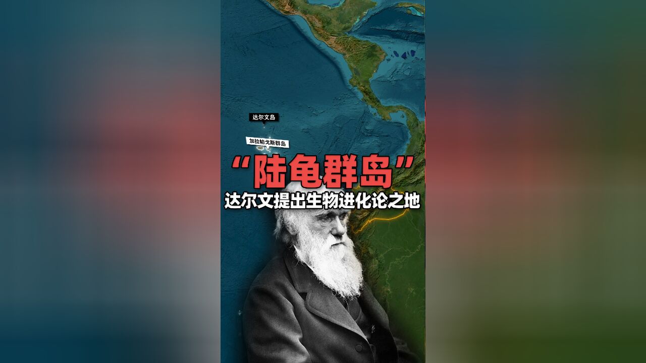 加拉帕戈斯群岛:独特生态系统,促使达尔文提出生物进化论之地