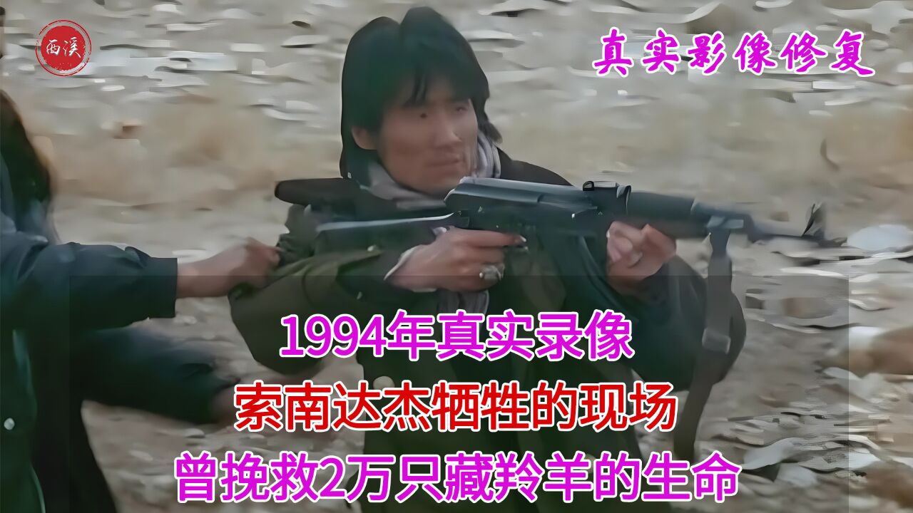 1994年真实录像,可可西里野牦牛队打击盗猎者,县副书记牺牲现场