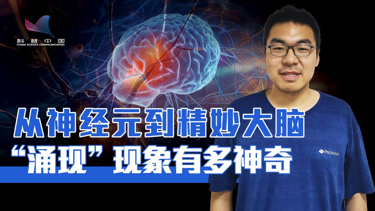 从神经元到大脑智能,“涌现”现象有多神奇?