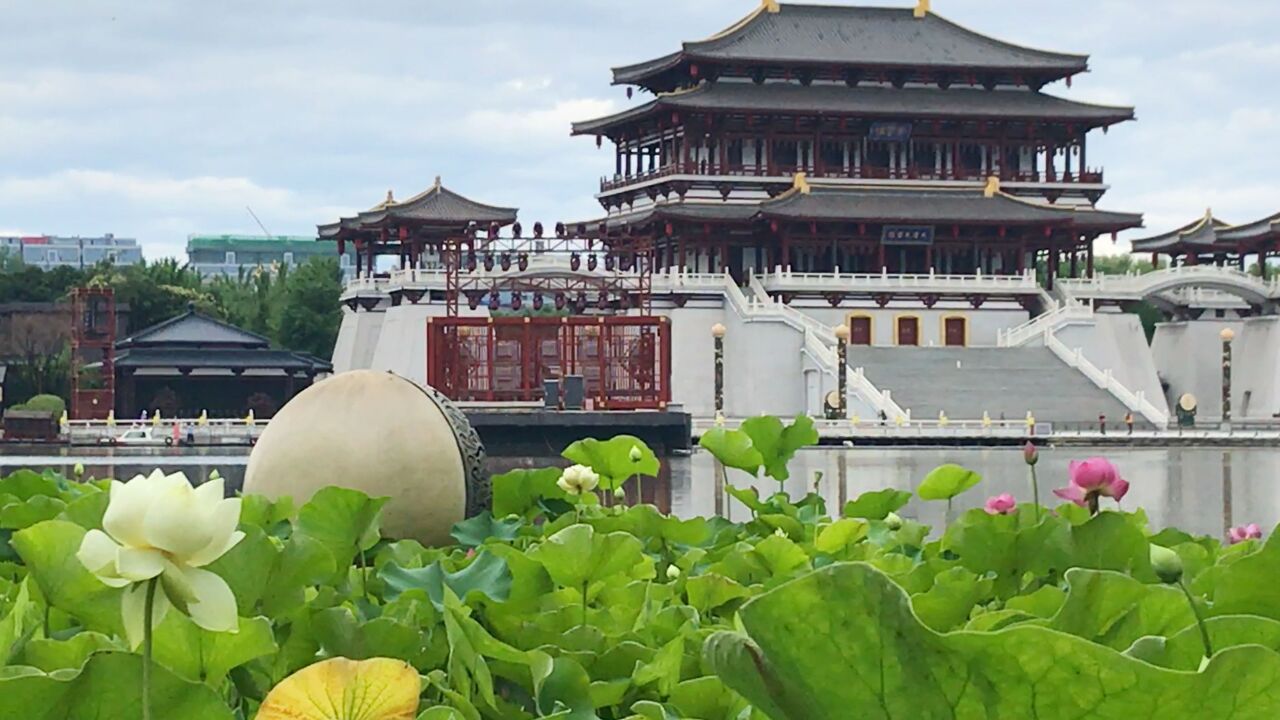 西安大唐芙蓉园:芙蓉湖里荷花开,盛唐园林夏日风景清丽如画