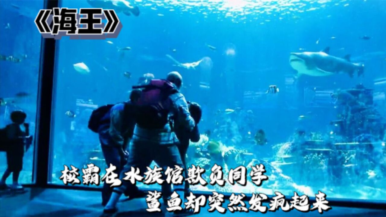 校霸在水族馆欺负同学,鲨鱼却突然发疯起来,猛烈向着玻璃撞击