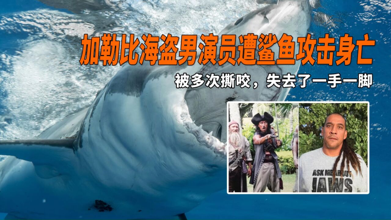 加勒比海盗男演员遭鲨鱼攻击身亡!被多次撕咬,失去了一手一脚