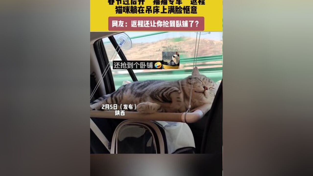 2月5日(发布) 陕西 春节过后开“猫猫专车”返程,猫咪躺在吊床上满脸惬意.网友:返程还让你抢到卧铺了?#我和我的猫 #猫猫专车 #猫咪