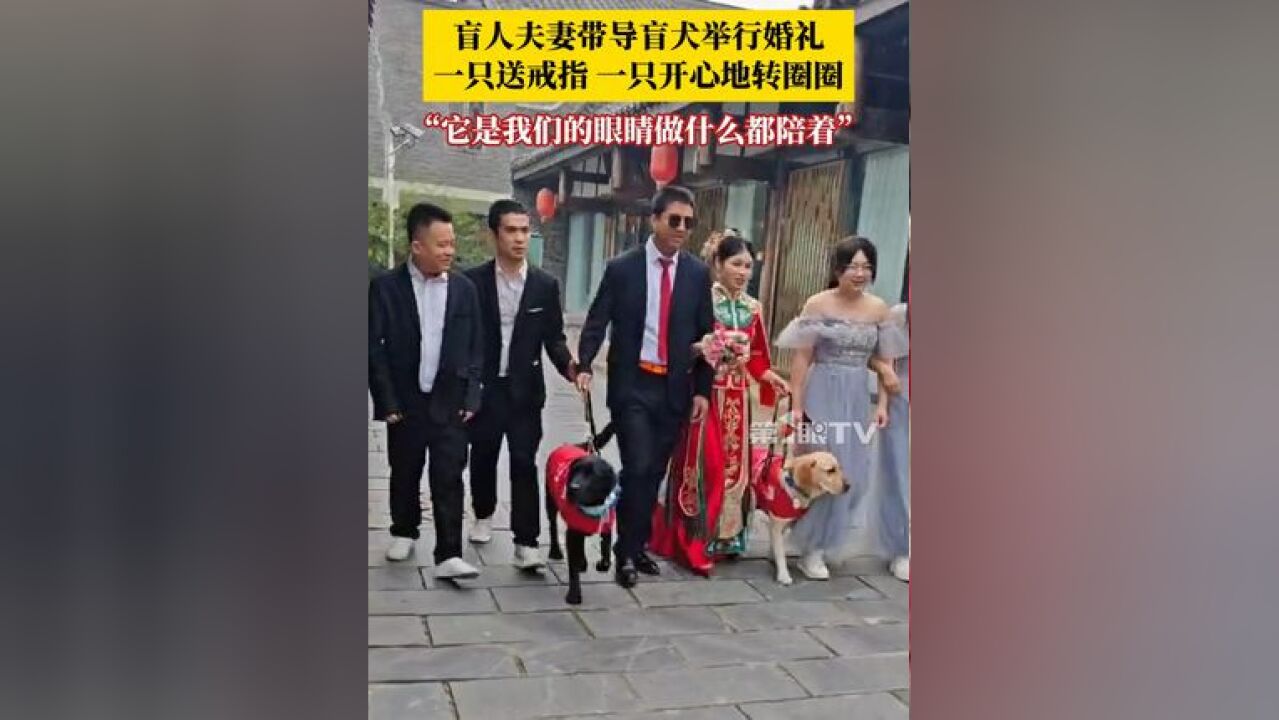 盲人夫妻带导盲犬举行婚礼,一只送戒指,一只开心地转圈圈,当事人:导盲犬是我们的眼睛,不管做什么都有它们的陪伴,谢谢毛孩子!