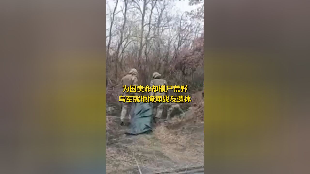 为国卖命却横尸荒野,乌军就地掩埋战友遗体