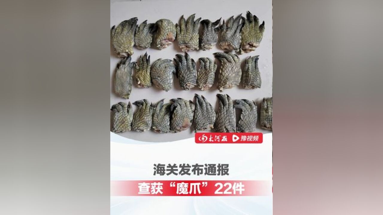 海关发布通报:查获“魔爪”22件,确定为濒危野生动物暹罗鳄