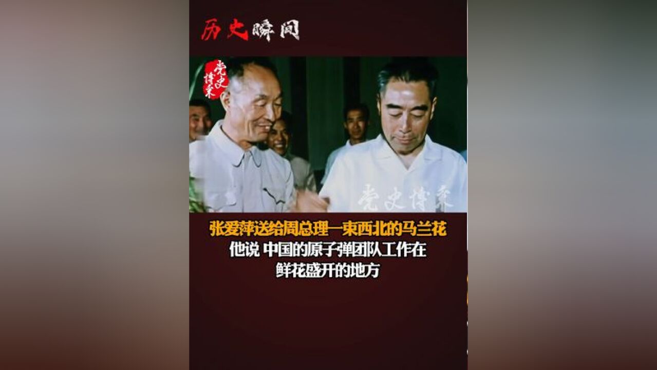 张爱萍送给周总理一束西北的马兰花,他说:中国的原子弹团队工作在鲜花盛开的地方