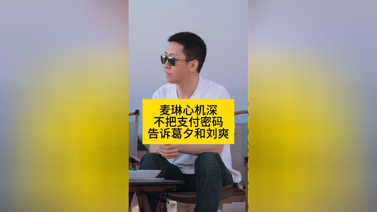 麦琳心机深,不把支付密码告诉葛夕和刘爽