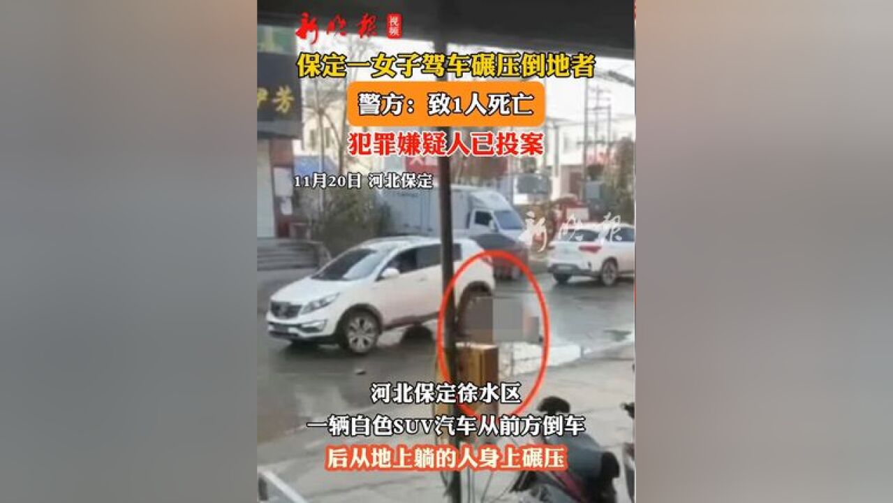 保定一女子驾车碾压倒地者致其死亡,警方:犯罪嫌疑人已投案