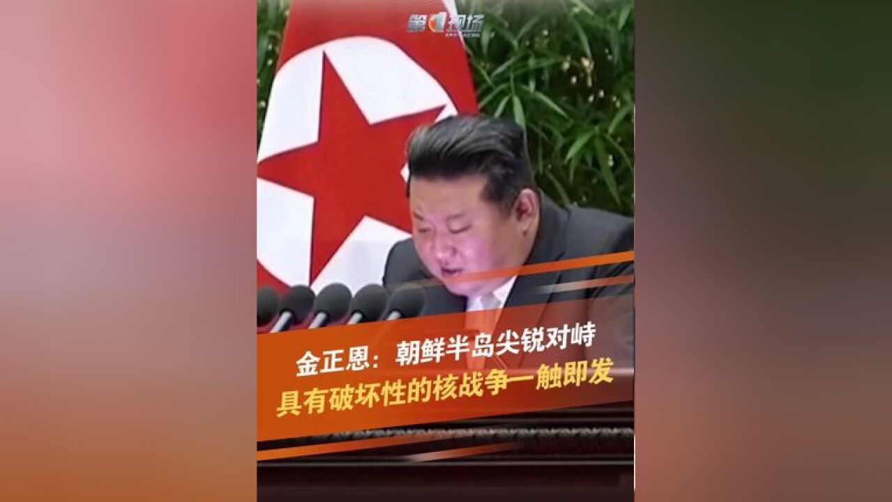 金正恩在讲话中强调,朝鲜半岛从未像现在这样危险地、尖锐地对峙,具有破坏性的核战争一触即发