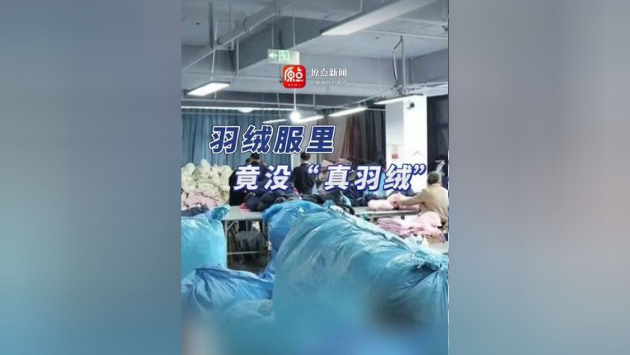 浙江湖州织里公安捣毁一生产销售伪劣羽绒服窝点现场,查获“假羽绒服”7万余件