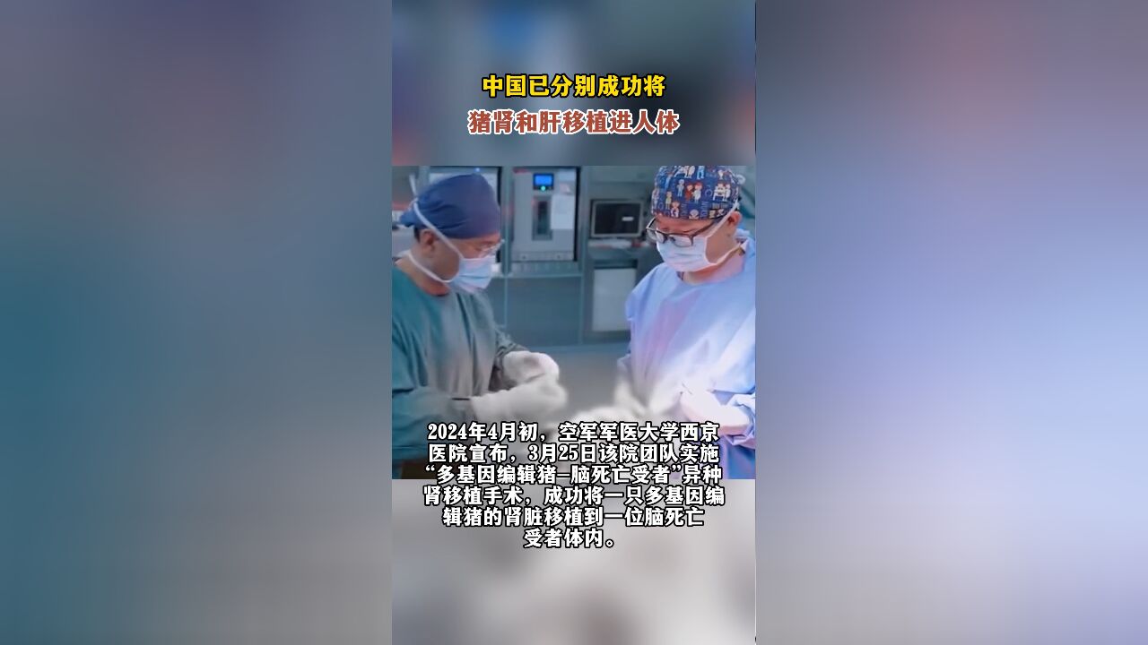 中国已分别成功将猪肾和肝移植进人体