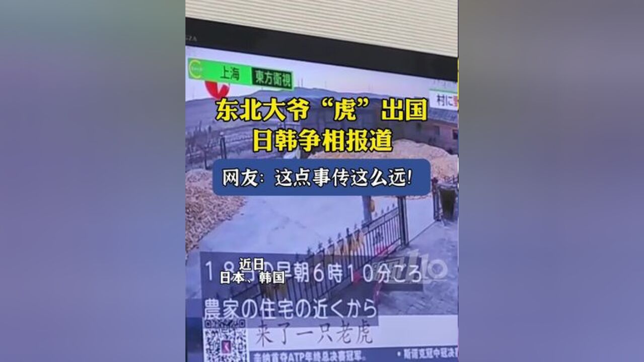 东北大爷“虎”出国,日韩争相报道,网友:这点事传这么远!