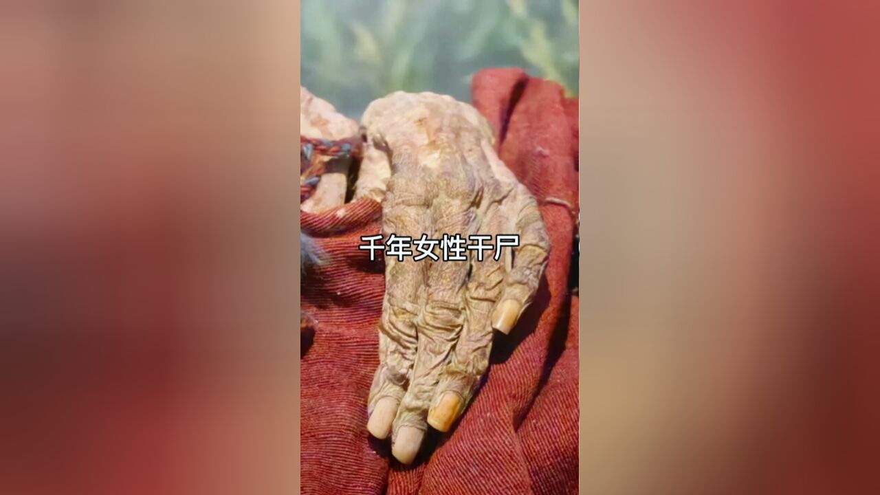 千年女性干尸