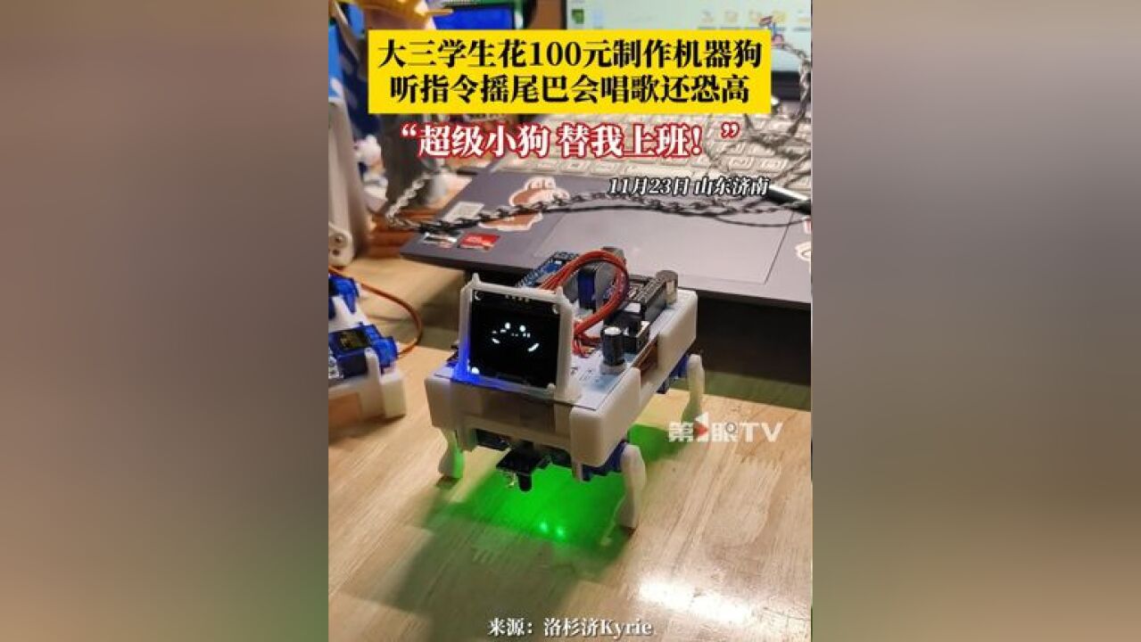 大三学生花100元制作机器狗,听指令摇尾巴会唱歌还恐高,网友:超级小狗,替我上班!