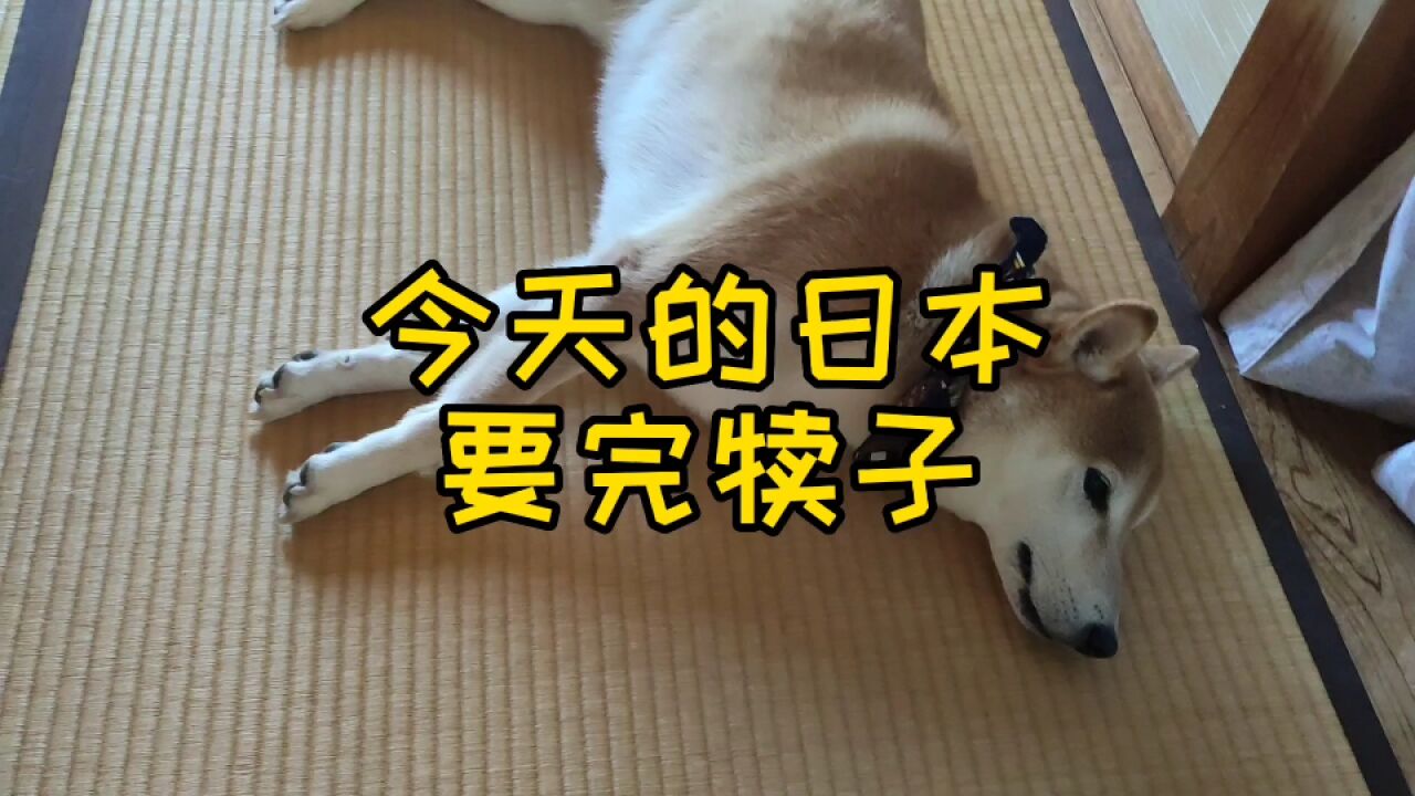 久等了今天完犊子的日本