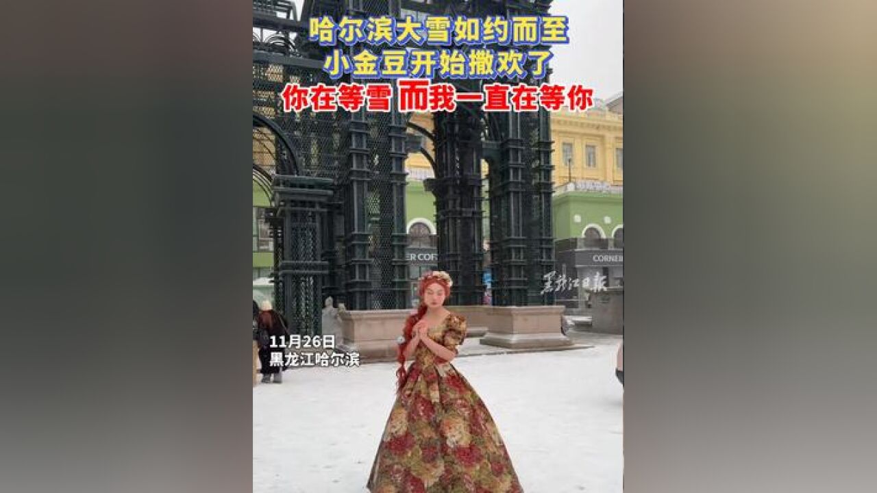 哈尔滨大雪如约而至 小金豆开始撒欢了 你在等雪 而我一直在等你