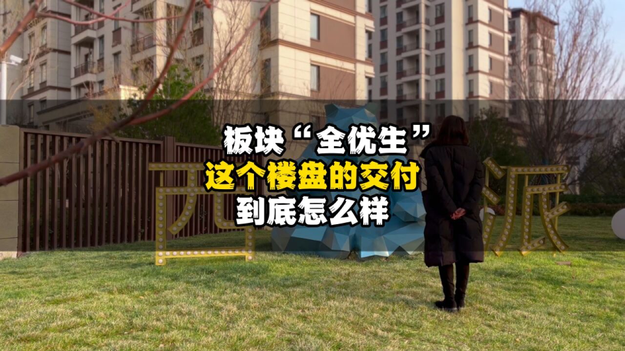 板块“全优生” 这个楼盘的交付到底怎么样