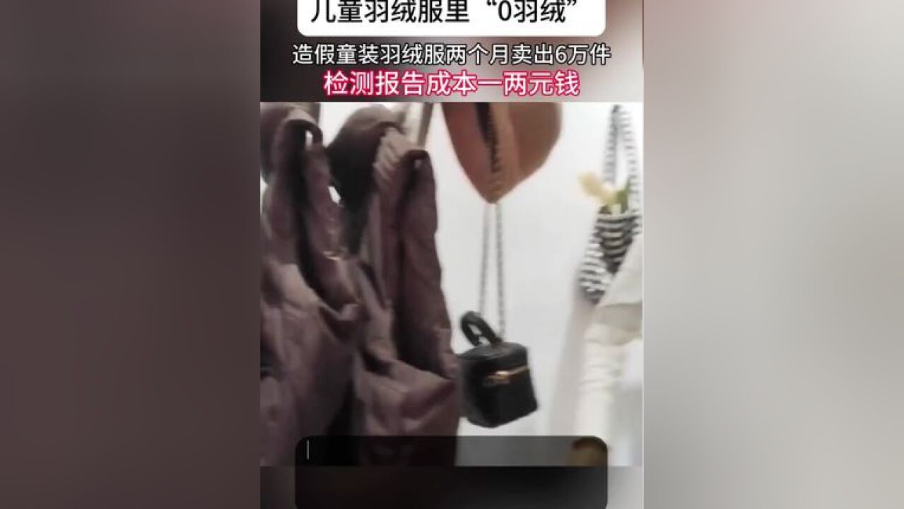 儿童羽绒服里“0羽绒” 造假童装羽绒服两个月卖出6万件 检测报告成本一两元钱