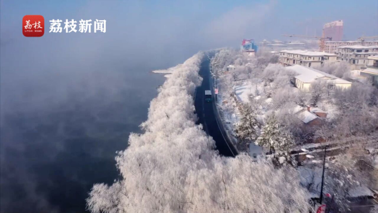 寒江雪柳 玉树琼花!吉林松花江畔迎来今冬第一场大规模雾凇