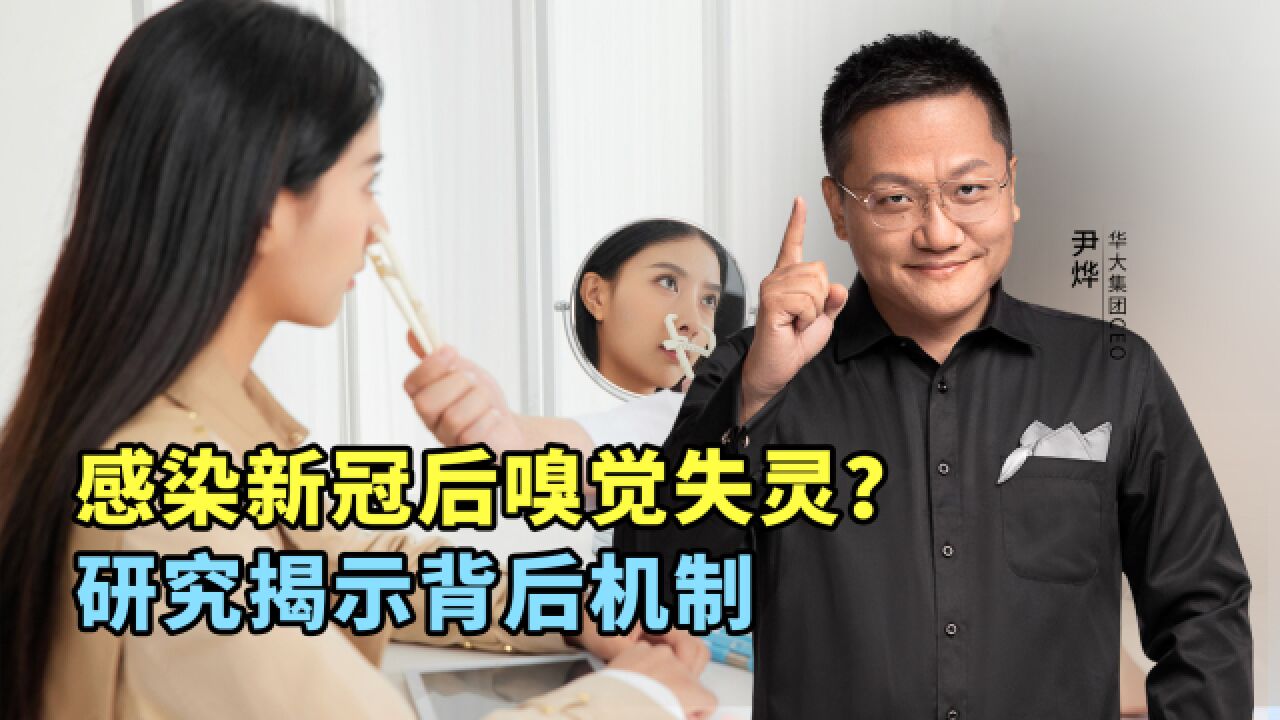 感染新冠后嗅觉失灵?研究揭示背后机制.