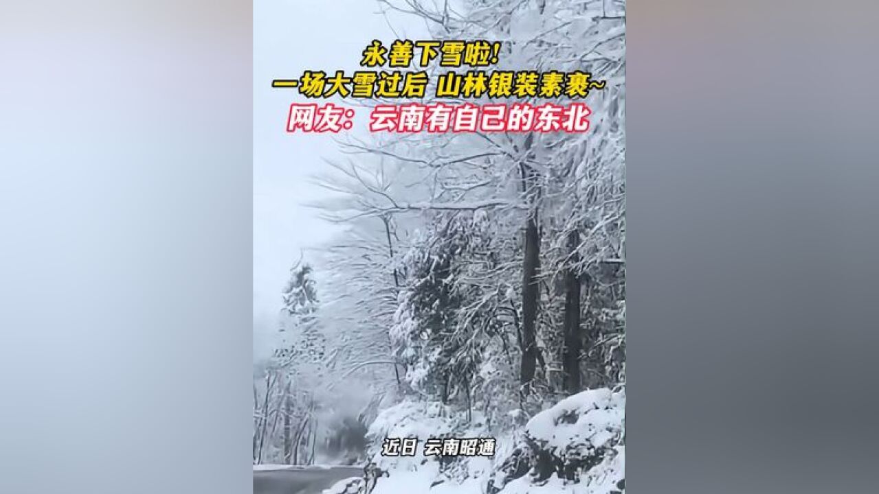 近日,云南昭通,永善下雪啦!一场大雪过后 山林银装素裹~网友:云南有自己的东北