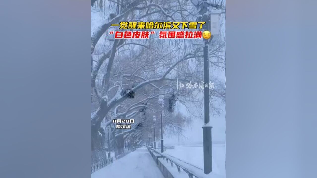 一觉醒来哈尔滨又下雪了,“白色皮肤”氛围感拉满