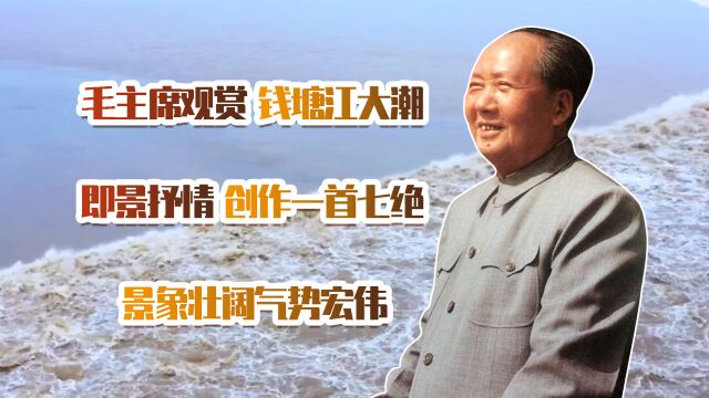 毛主席笔下的钱塘江大潮,景象壮阔气势宏伟,读完后内心大受震撼