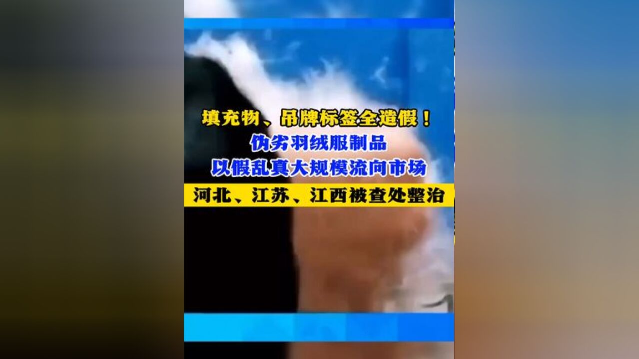 填充物、吊牌标签全造假! 伪劣羽绒服制品 以假乱真 大规模流向市场 河北、江苏、江西被查处整治