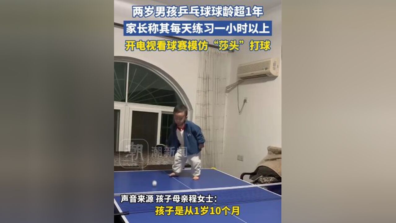 两岁男孩乒乓球球龄超1年,家长称其每天练习一小时以上,开电视看球赛模仿“莎头”打球