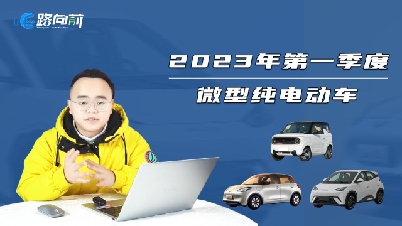 2023年微型纯电动代步车哪家强?比亚迪海鸥、五菱缤果你选谁