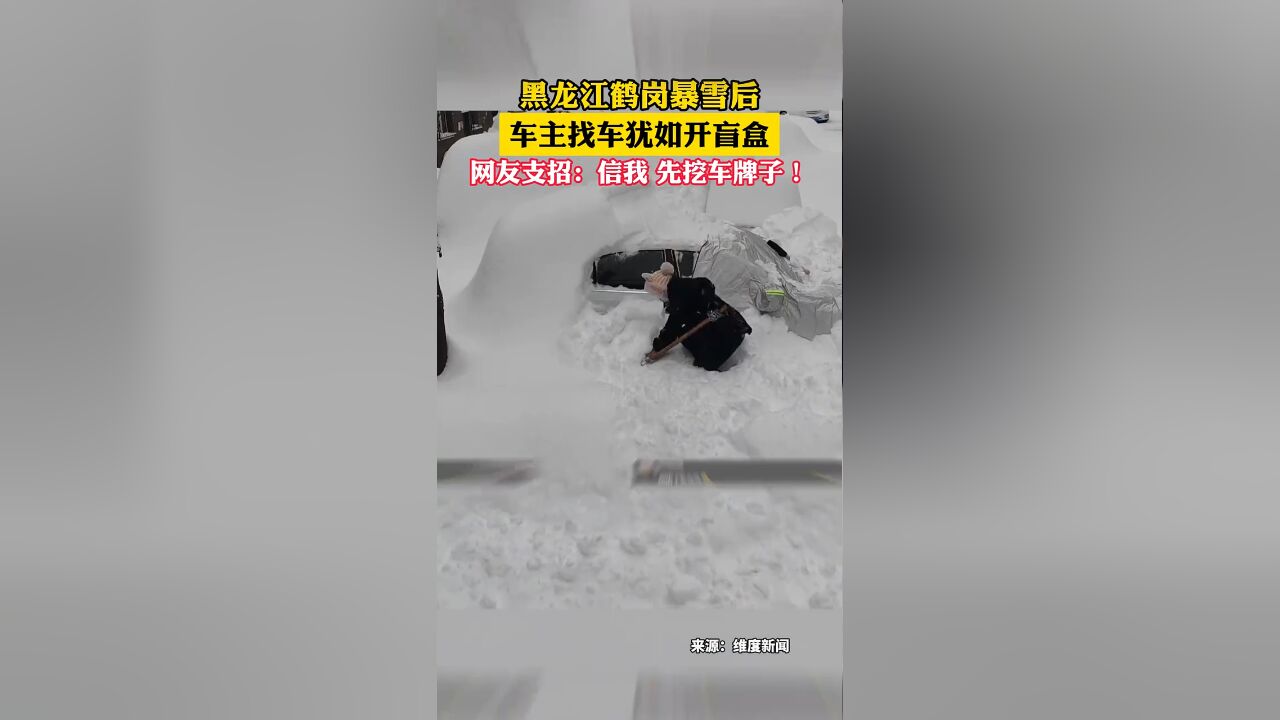 暴雪后车主找车如开盲盒,网友支招:信我 先挖车牌子