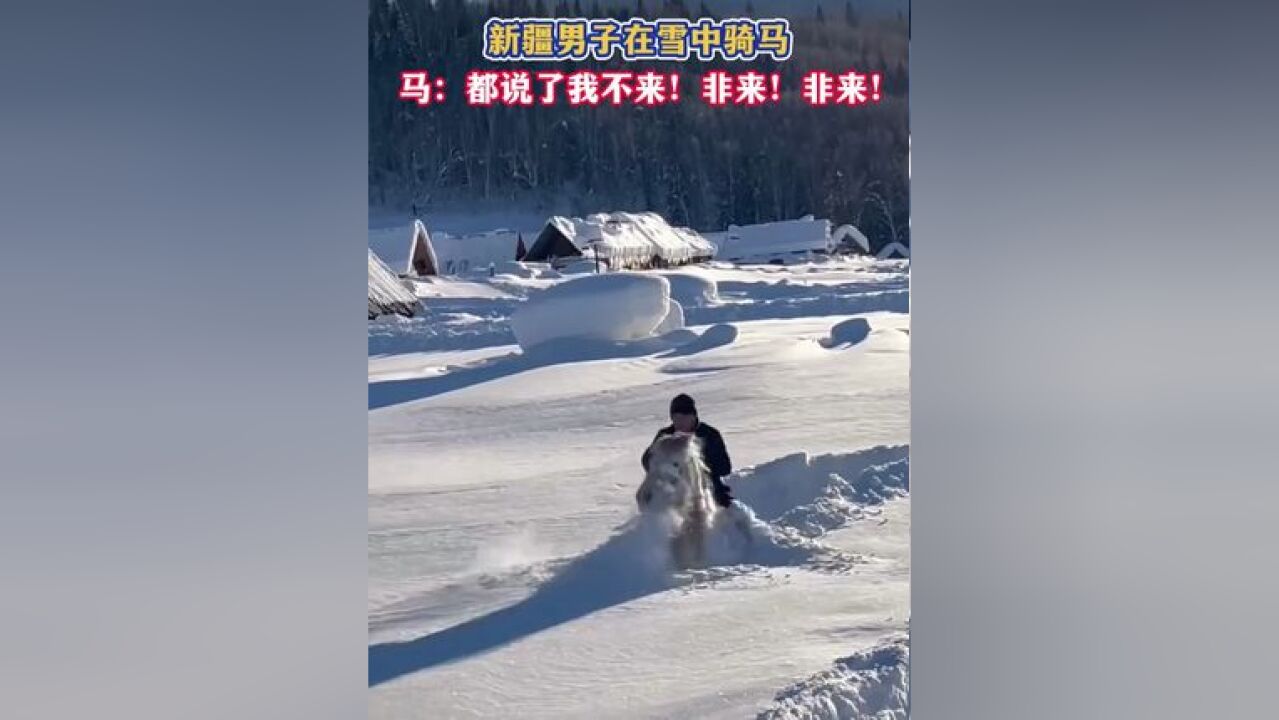 新疆男子在雪中骑马,马:都说了我不来!非来!非来!