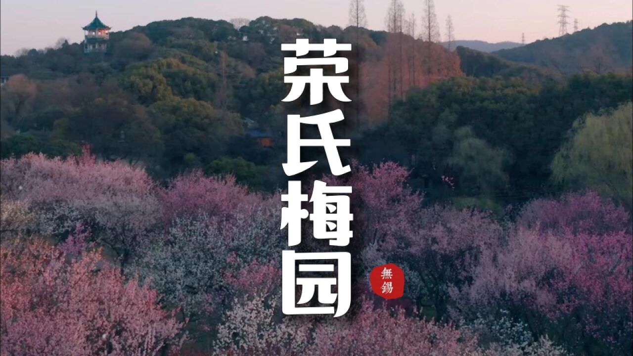 春分到 |航拍无锡梅园百年芳馨,江南无所有,聊赠一枝春