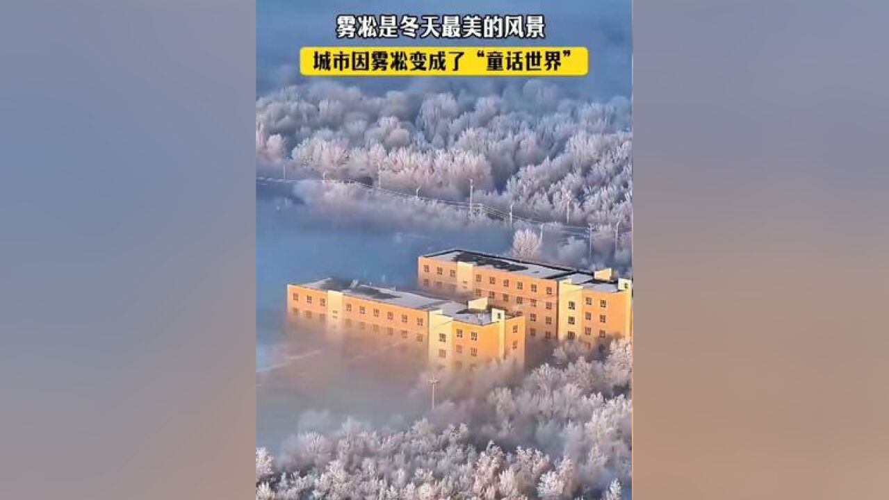 雾凇是冬天最美的风景!城市因雾凇变成了童话世界