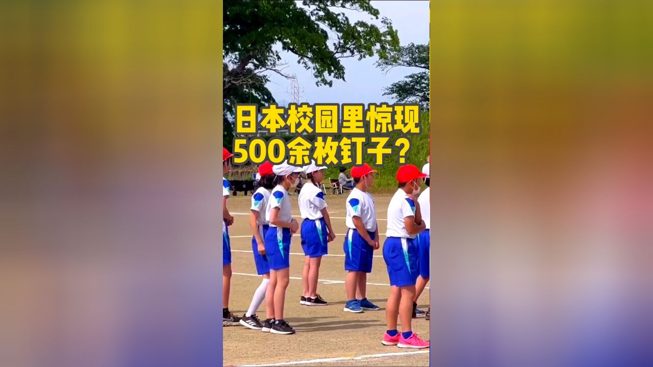 日本小学校园内惊现500余枚钉子?!