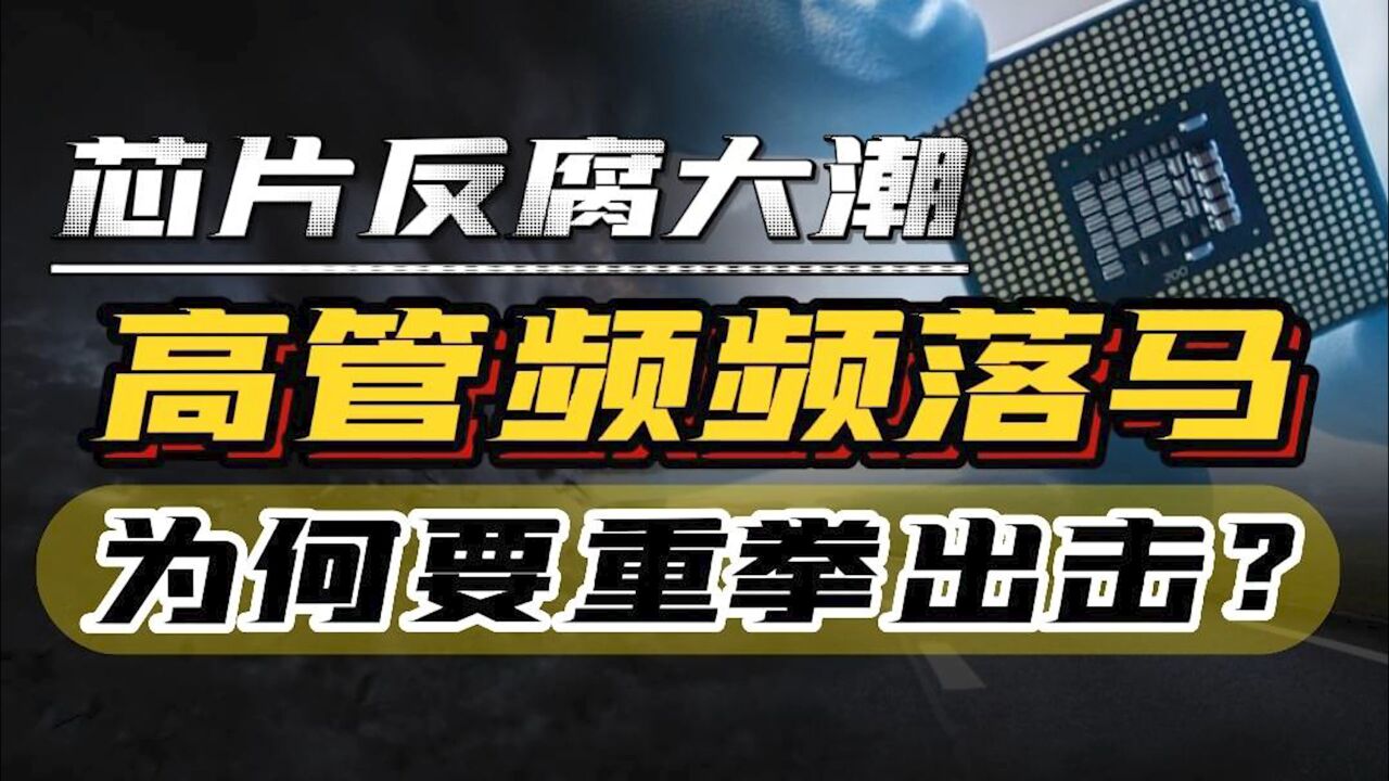 芯片界迎来反腐大潮,一月被查5人,个个不简单,背后有何深意?