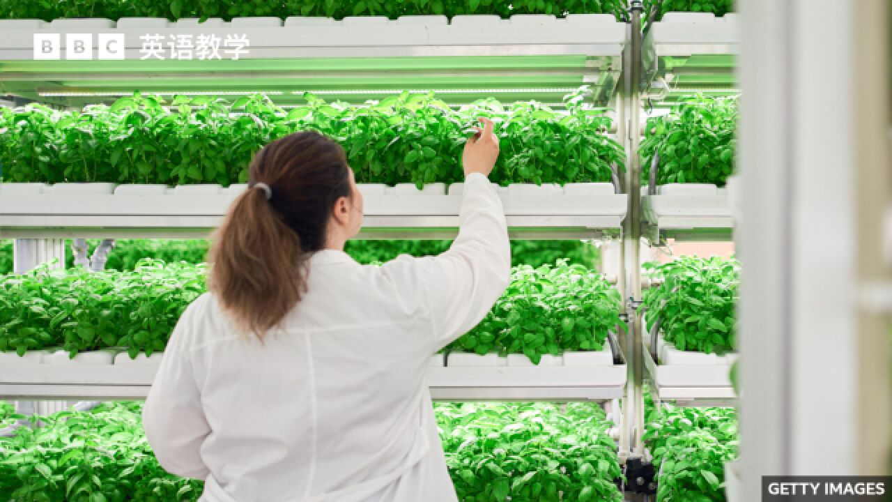 BBC随身英语:Vertical farming 垂直农业是否已走到尽头?