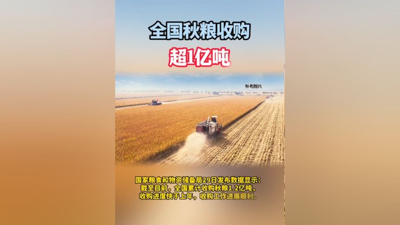 全国秋粮收购超1亿吨