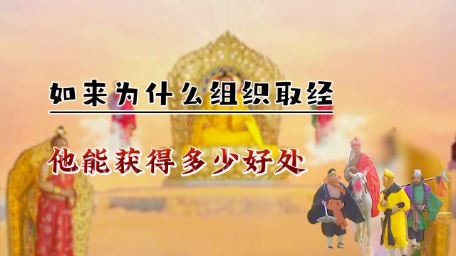 如来为什么要启动取经工程,他能从中获得多少好处?