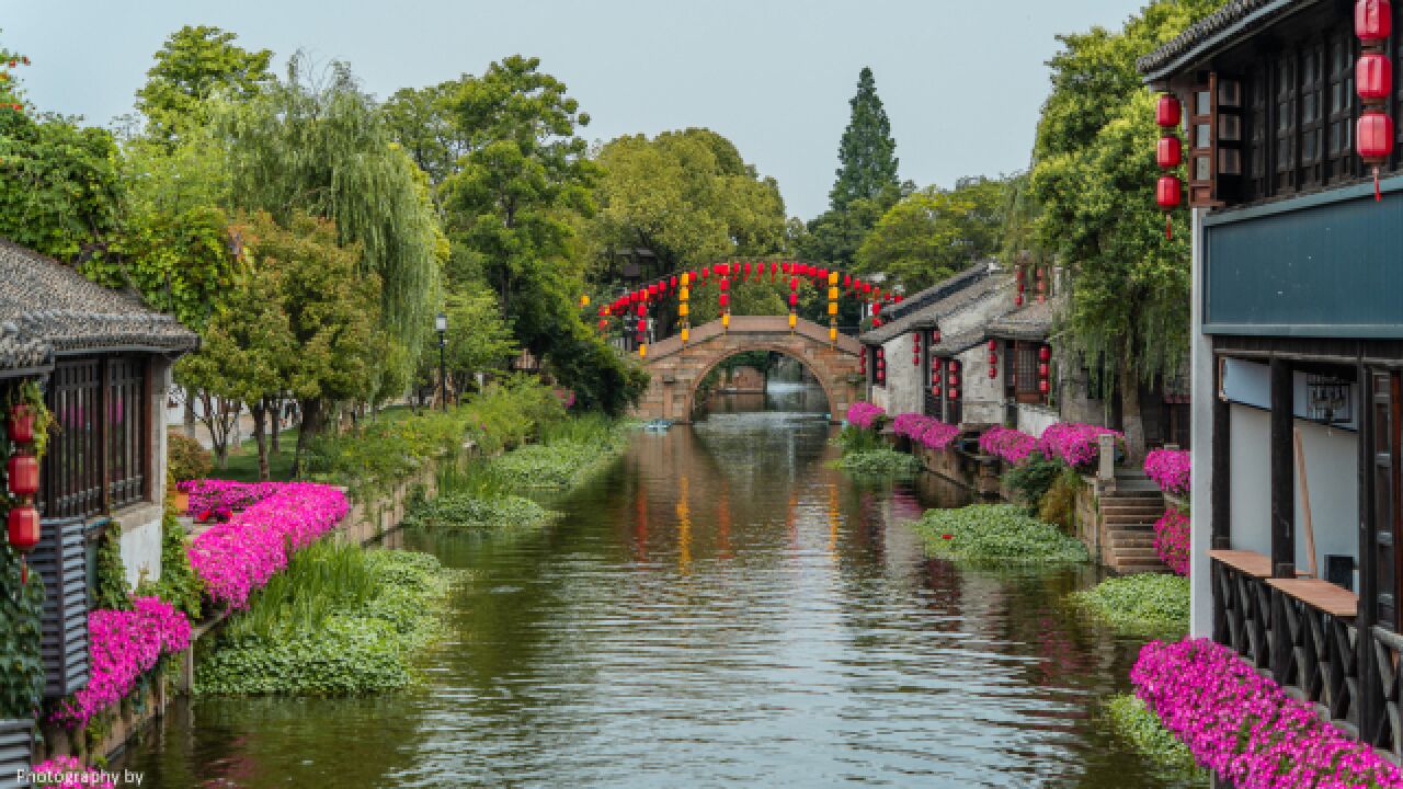 水韵荡口,古镇的夏日有着别样的风景