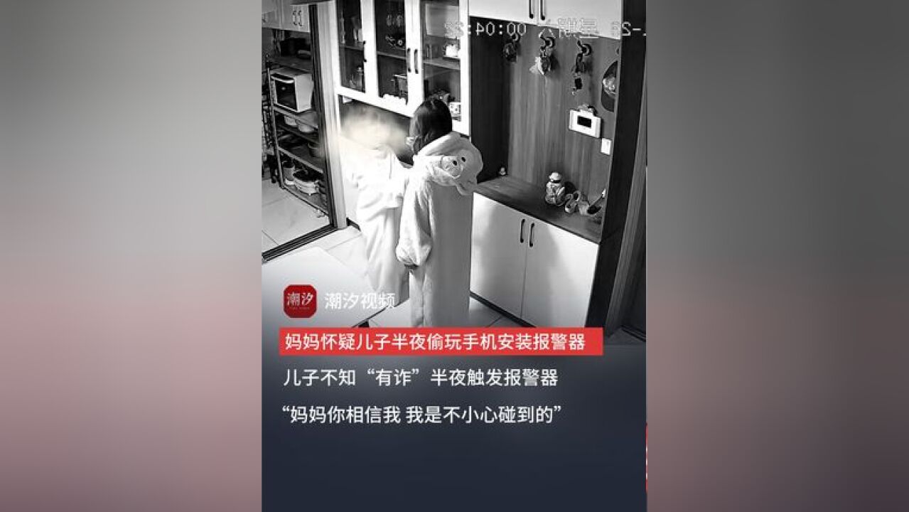 妈妈怀疑儿子半夜偷玩手机安装报警器,儿子不知“有诈”半夜触发报警器,“妈妈你相信我,我是不小心碰到的,”网友:满满的求生欲