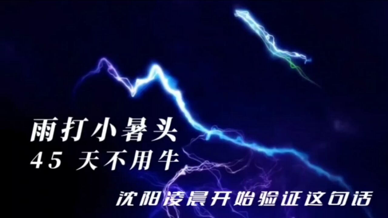 “雨打小暑头,45天不用牛”,沈阳凌晨开始验证这句话