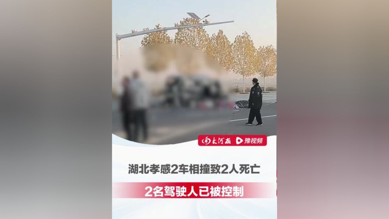 现场视频曝光!湖北孝感2车相撞致2人死亡 ,2名驾驶人已被控制,警方通报