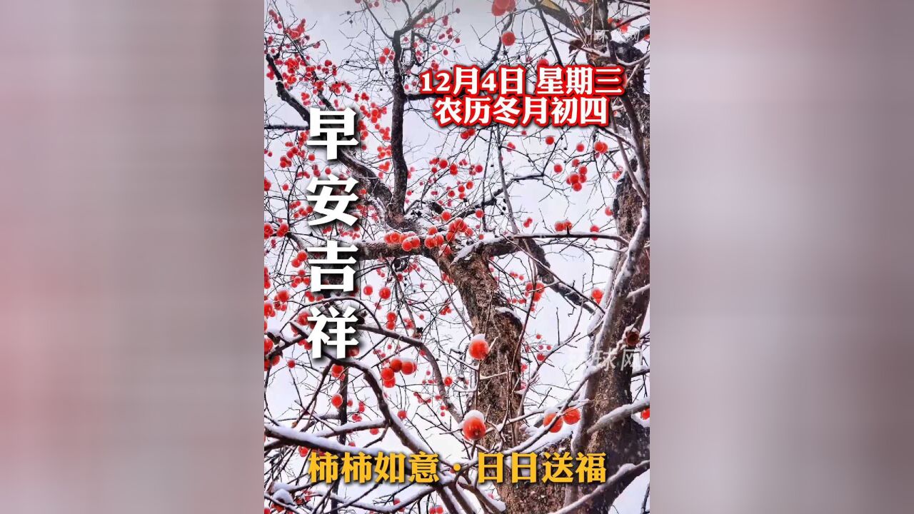 早安!柿柿如意,日日送福!祝愿您和家人岁岁平安,年年有余,万事顺意!