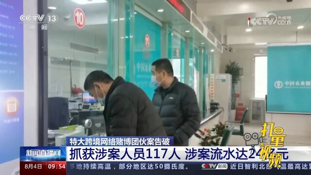 特大跨境网络赌博团伙案告破!抓获117人,涉案流水达24亿元